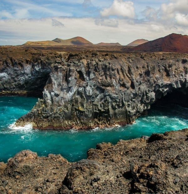 Diver exploring the rich marine ecosystem at El Bajón, a prime Canary Islands diving location.