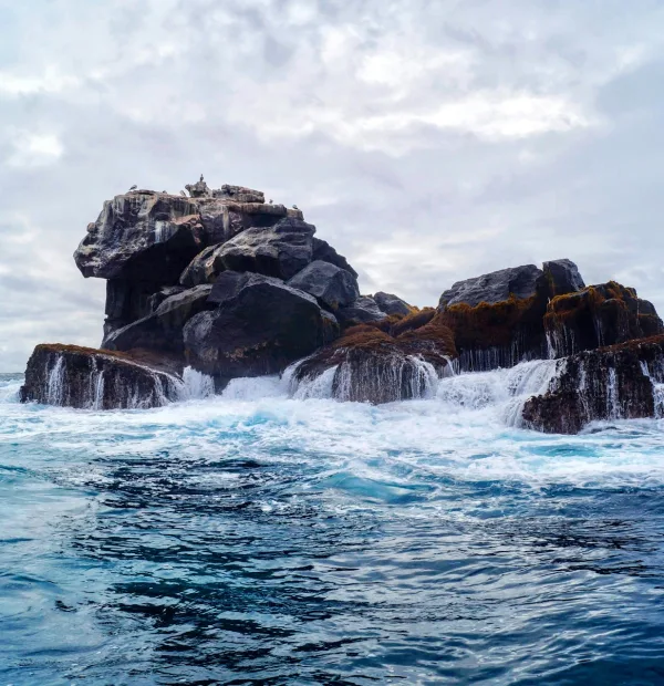 Diver surrounded by marine life in the vibrant waters of the Galapagos.