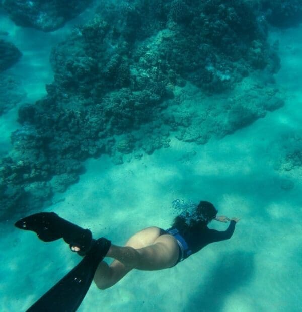 Diver exploring vibrant coral reef underwater.