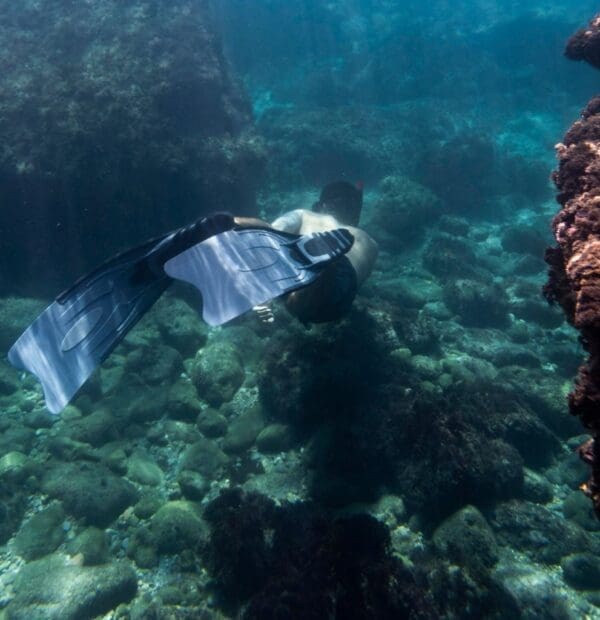 Diver exploring coral reef underwater.