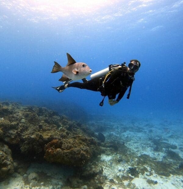 Scuba diver and fish underwater near coral reef.