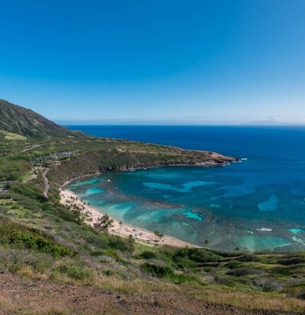 Scenic view of a lush green volcanic mountain and bay.