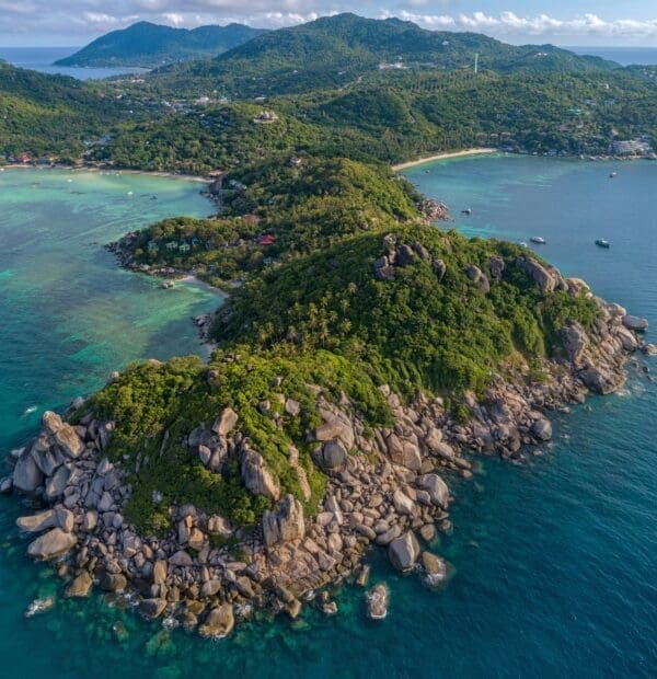 Aerial view of lush, tropical coastline with turquoise waters.