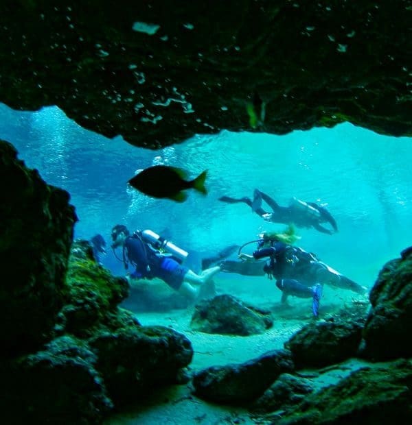 Scuba divers exploring underwater cave with fish.