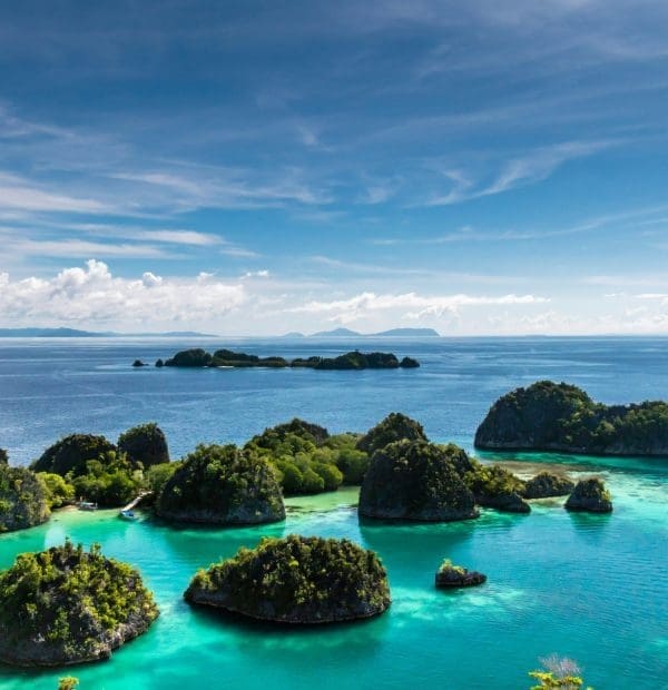 Explore the Enchanting Underwater World of Raja Ampat