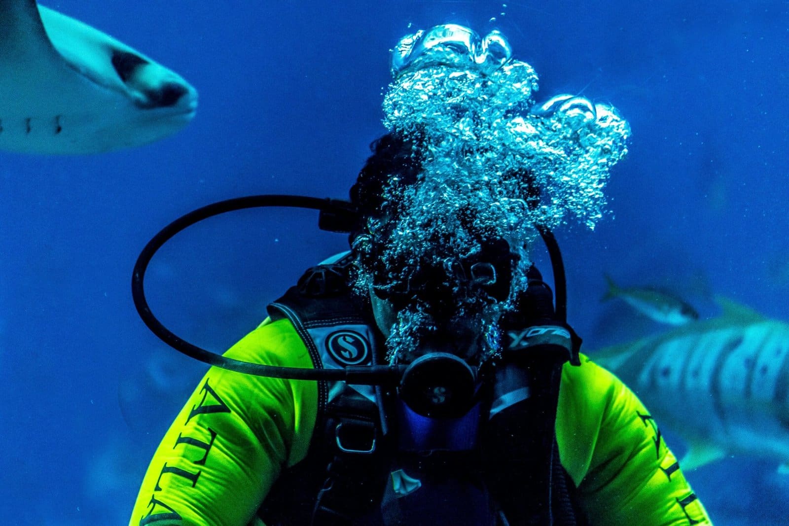 Scuba diver with shark in deep blue sea