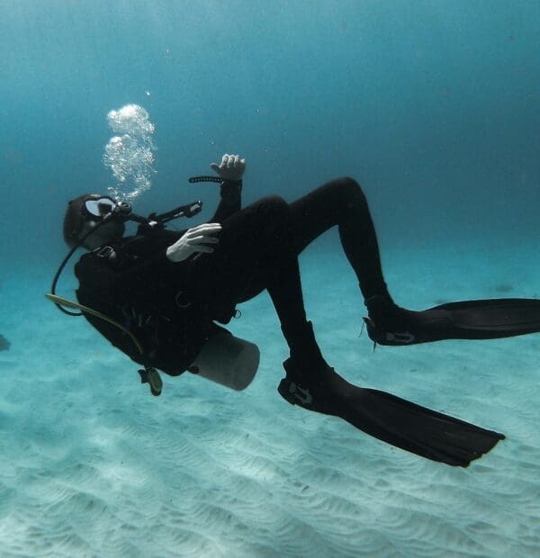 Diver exploring underwater with clear visibility and sandy bottom.