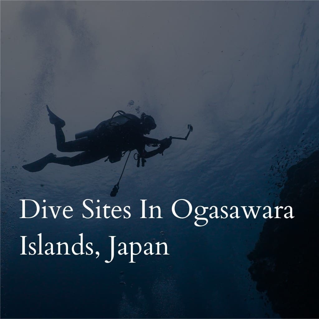 Diver exploring underwater near Ogasawara Islands, Japan