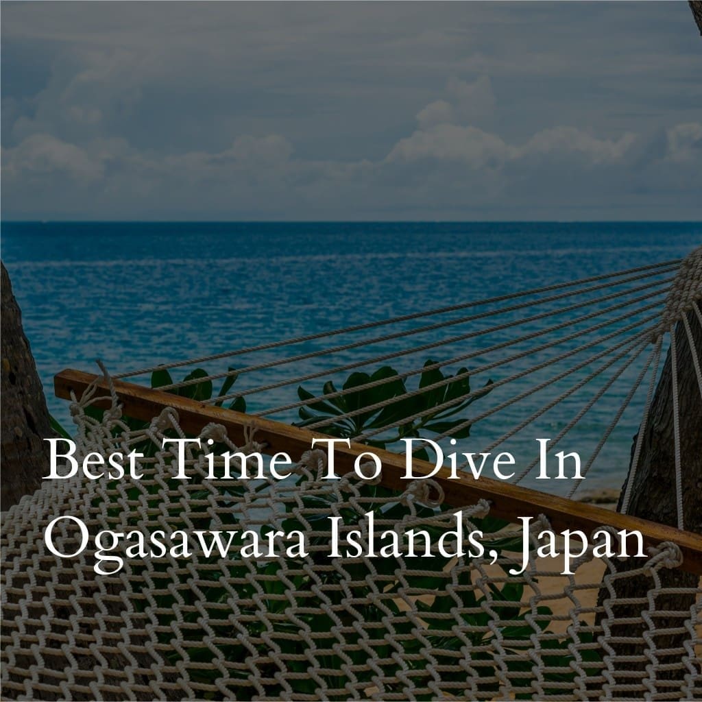 Hammock view over ocean, Ogasawara Islands diving promotion