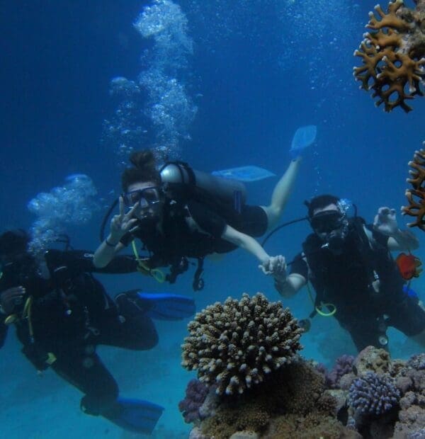 Scuba divers exploring vibrant coral reef underwater.