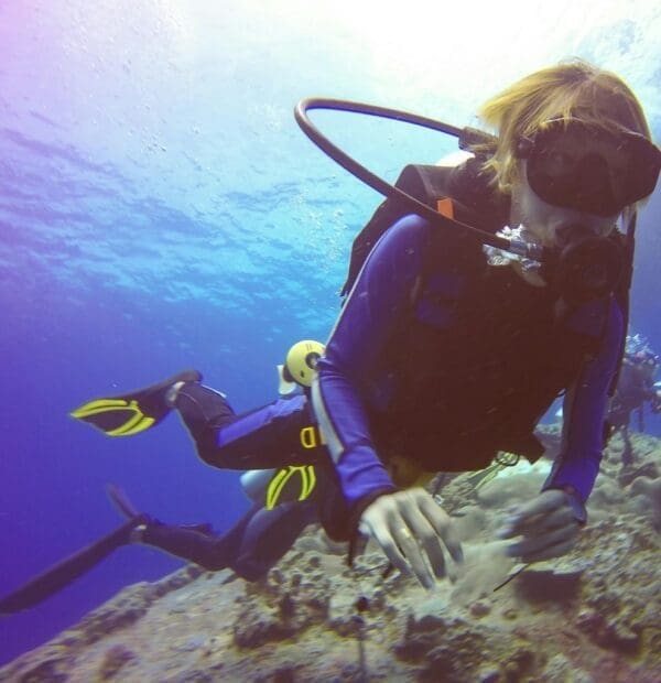 Dive into Big Island Waters