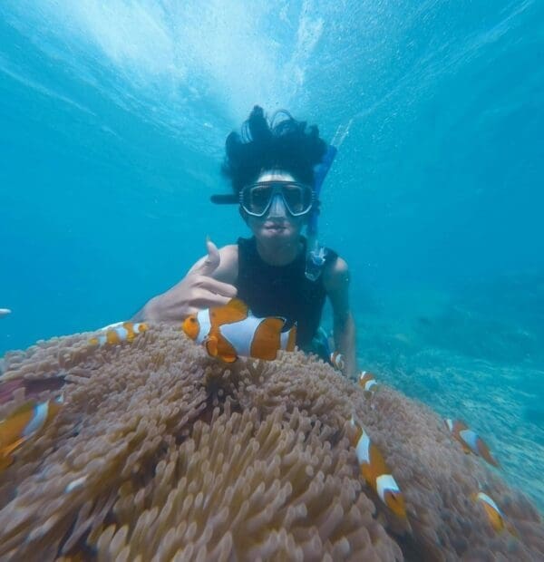 Diver with clownfish over coral reef underwater.