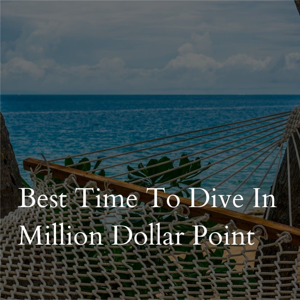 Hammock overlooking ocean, promotional diving spot text overlay