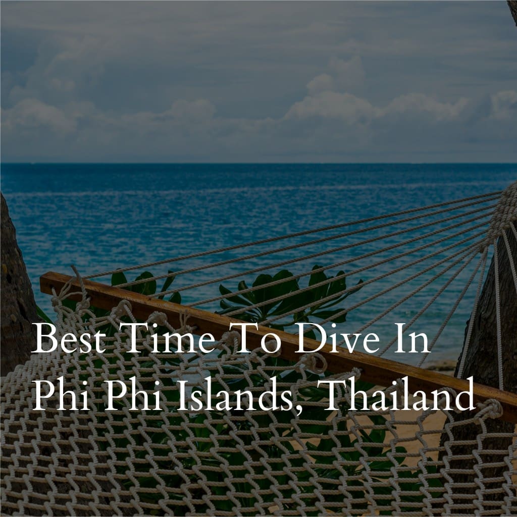 Hammock by the sea, Phi Phi Islands, Thailand