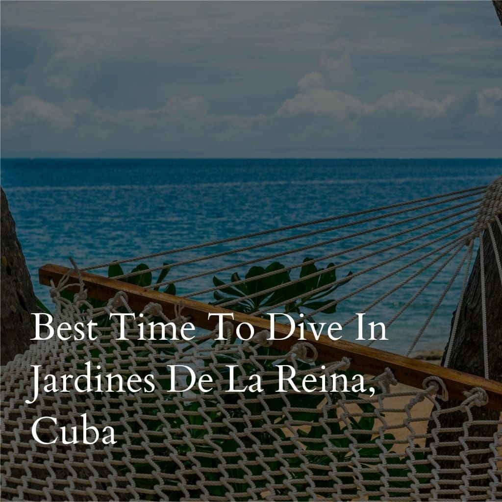 Best time to dive in Jardines de la Reina