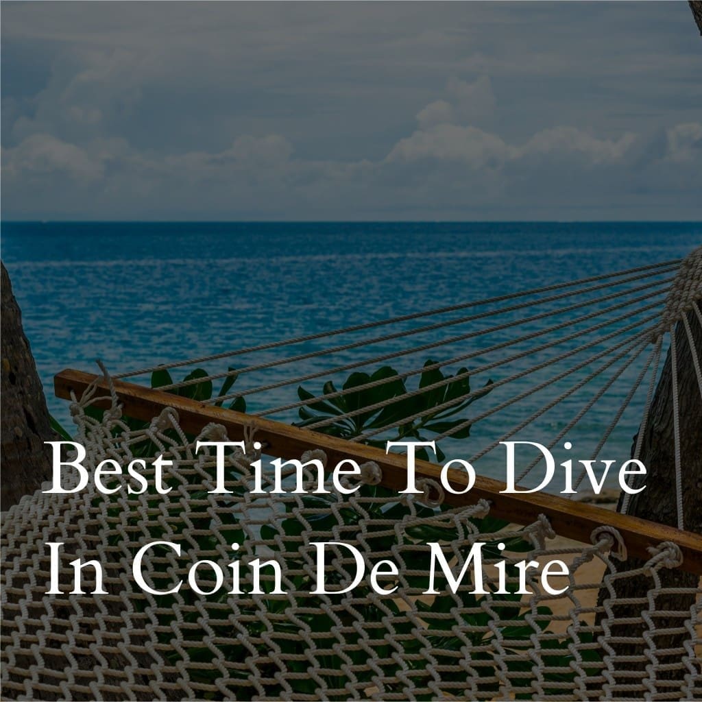 Seaside hammock and ocean view promoting Coin De Mire diving