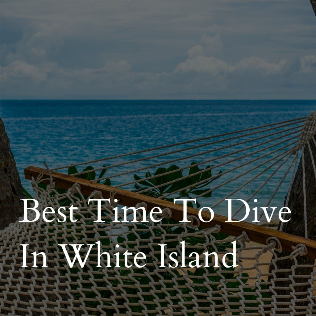 Best time to dive in White Island