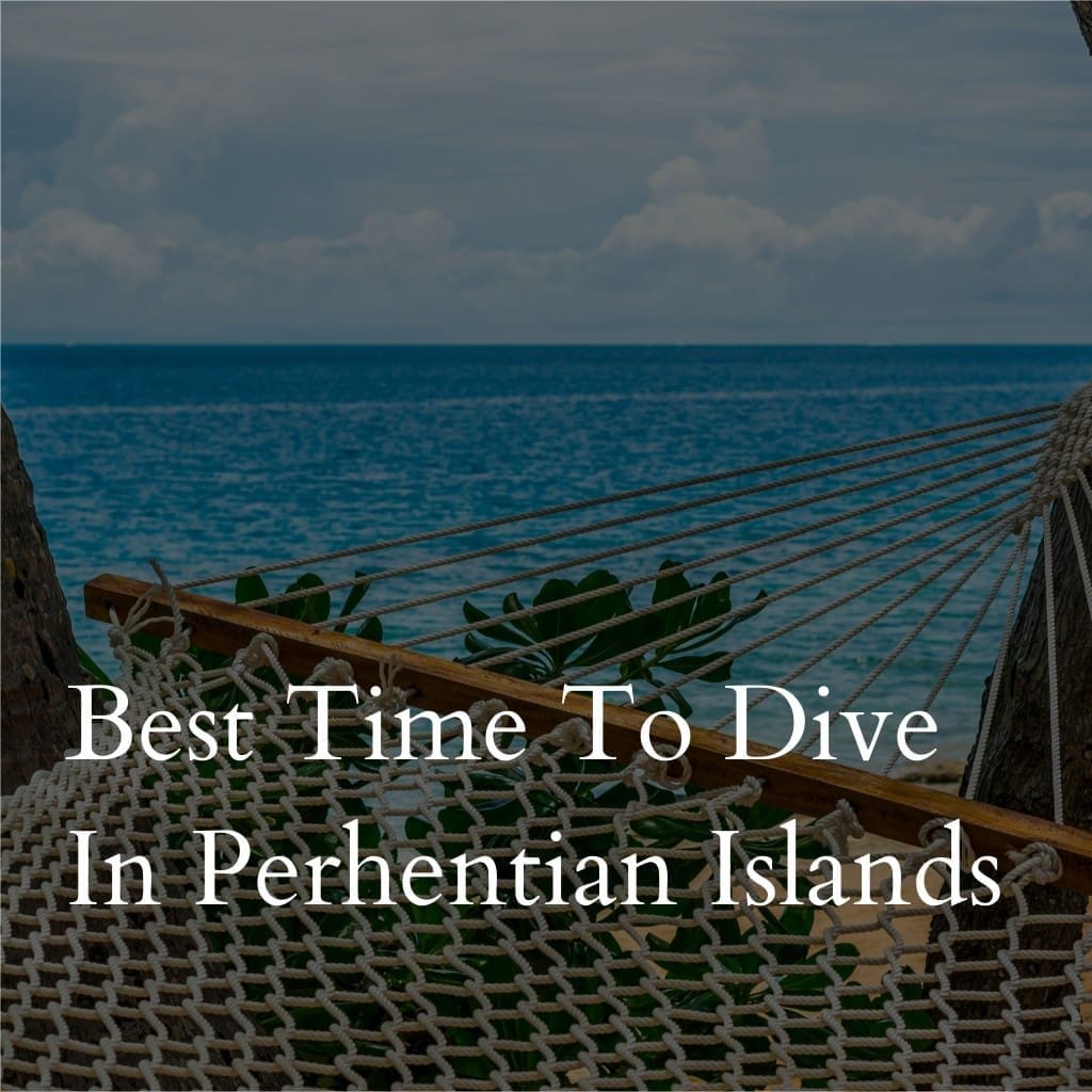 Hammock by sea with text about diving in Perhentian Islands