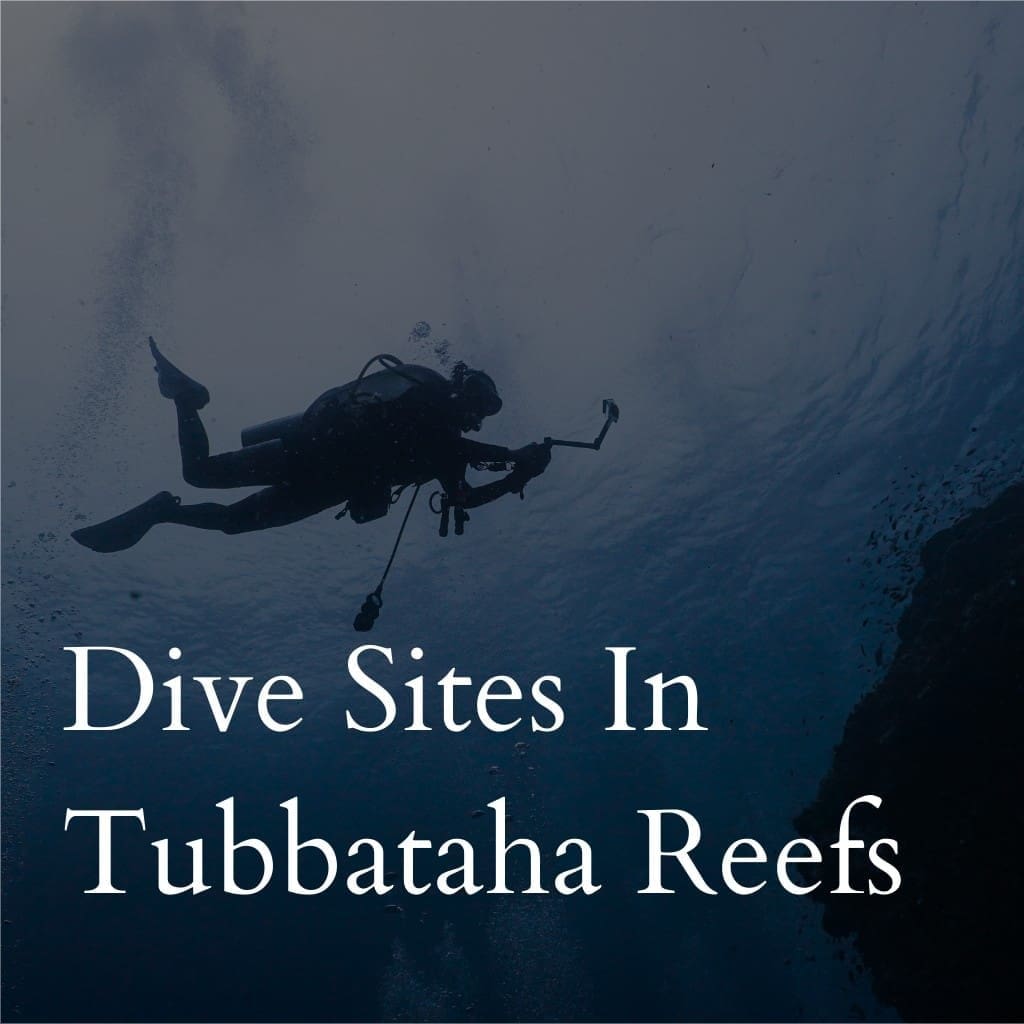 Dive sites in  Tubbataha Reefs