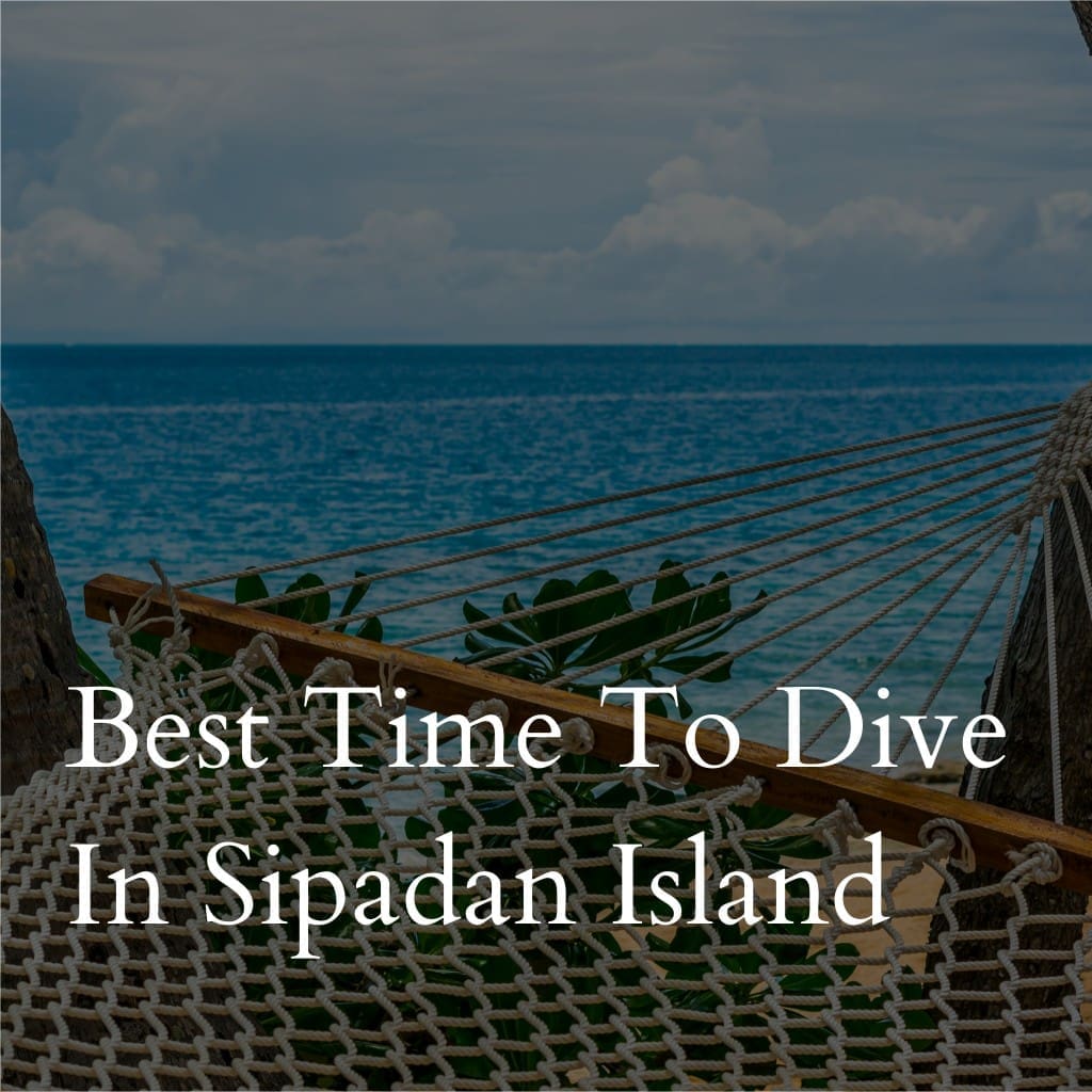 Hammock by the sea, text: Best Time To Dive In Sipadan Island