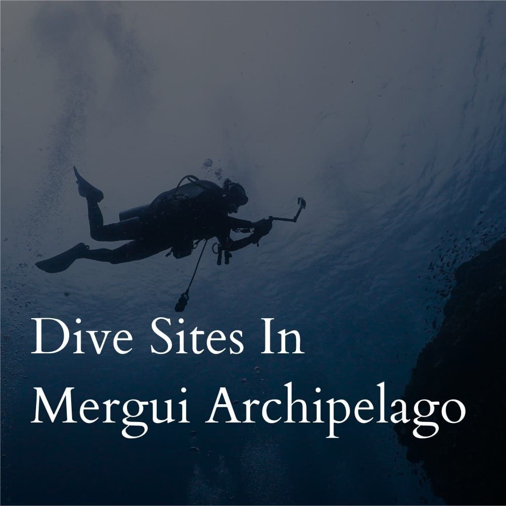 Diver underwater near text 'Dive Sites In Mergui Archipelago'