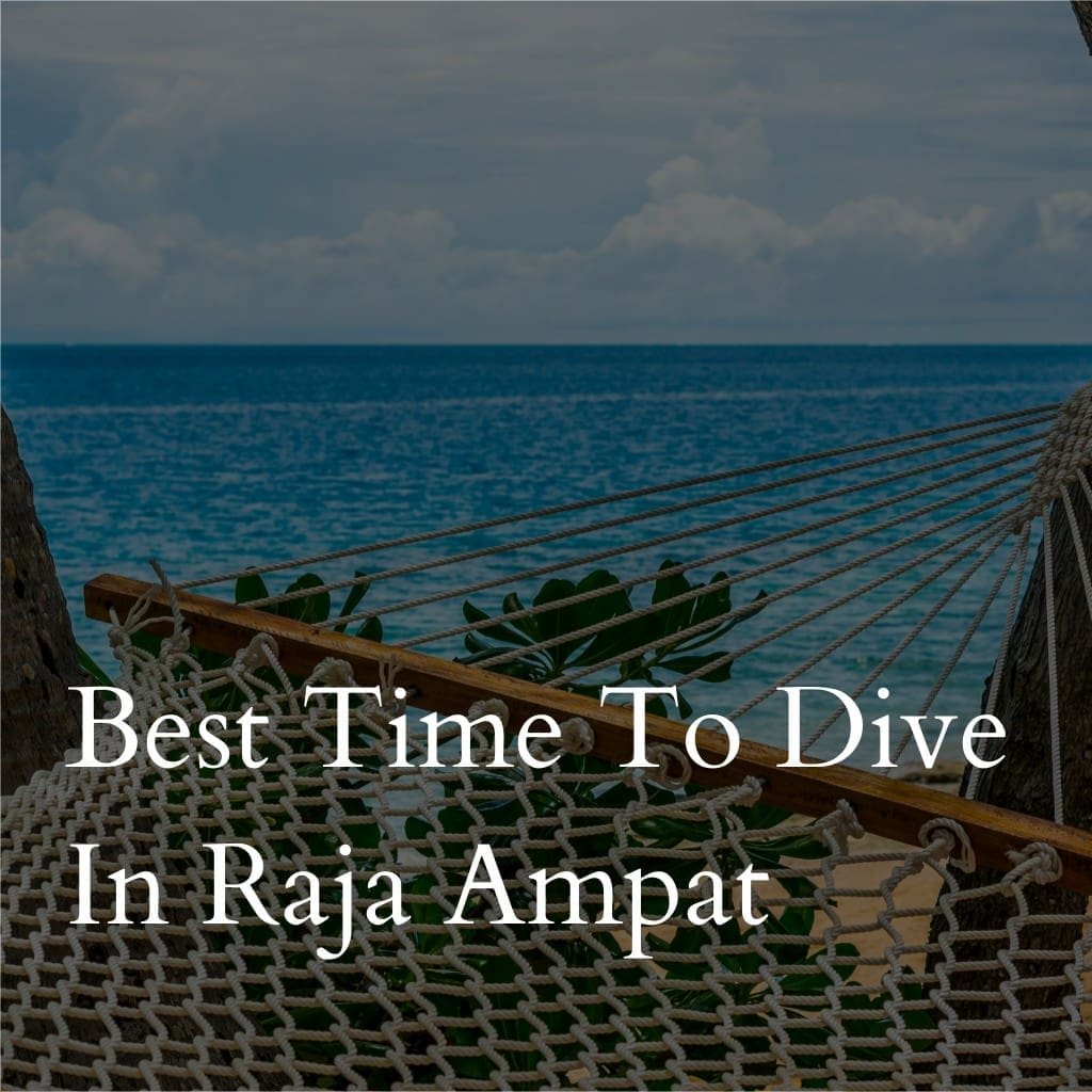 Hammock on beach overlooking ocean, Raja Ampat diving info