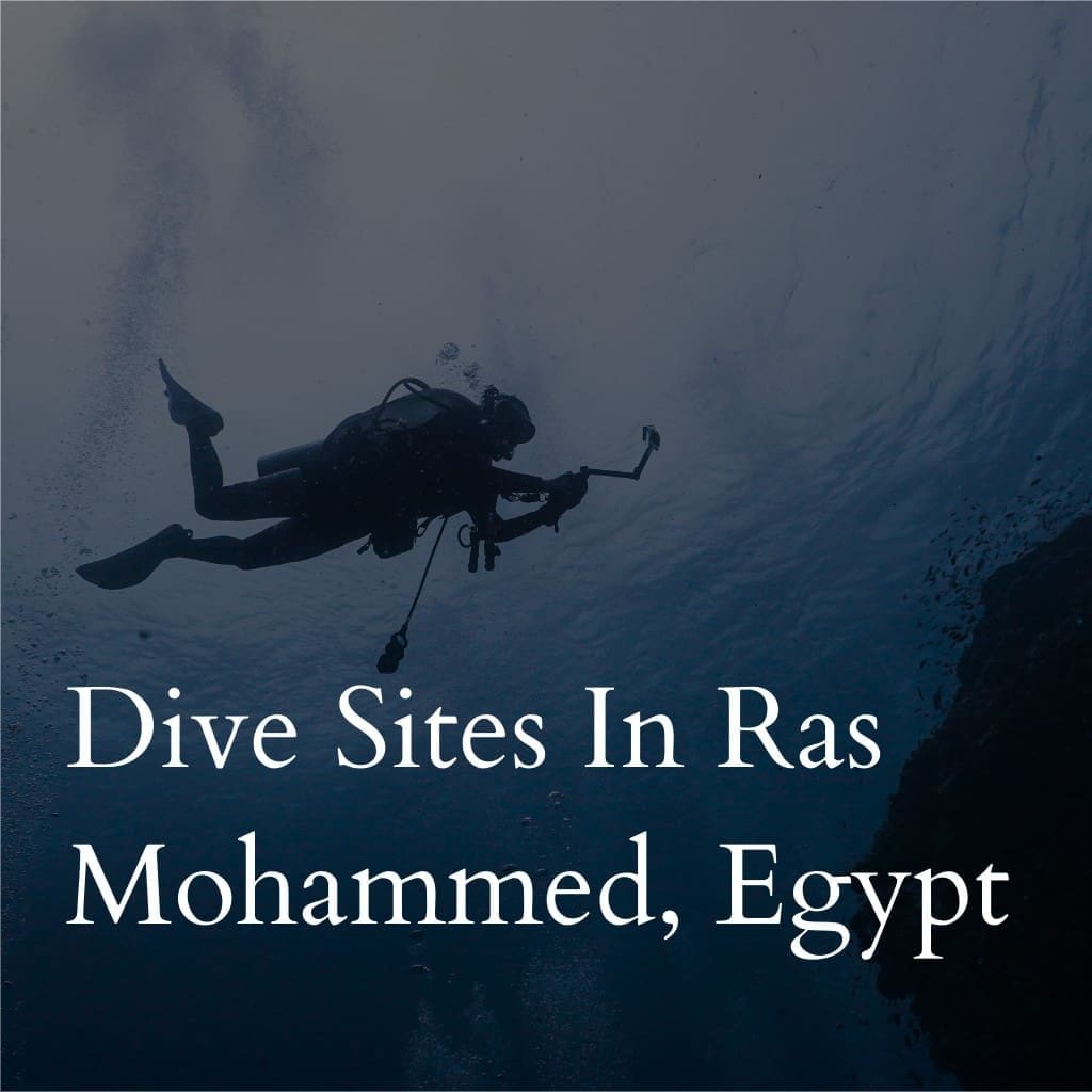 Scuba diver exploring Ras Mohammed dive site, Egypt