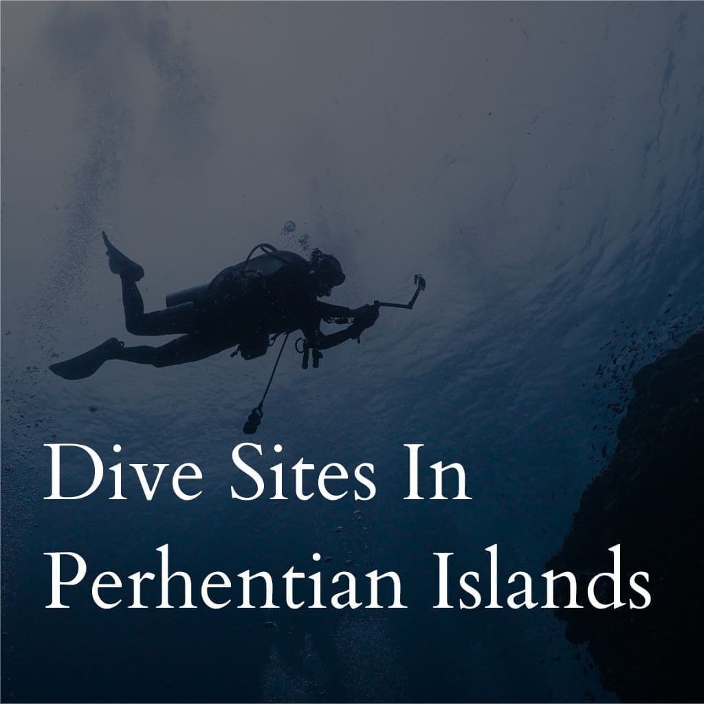 Diver descends in ocean at Perhentian Islands.