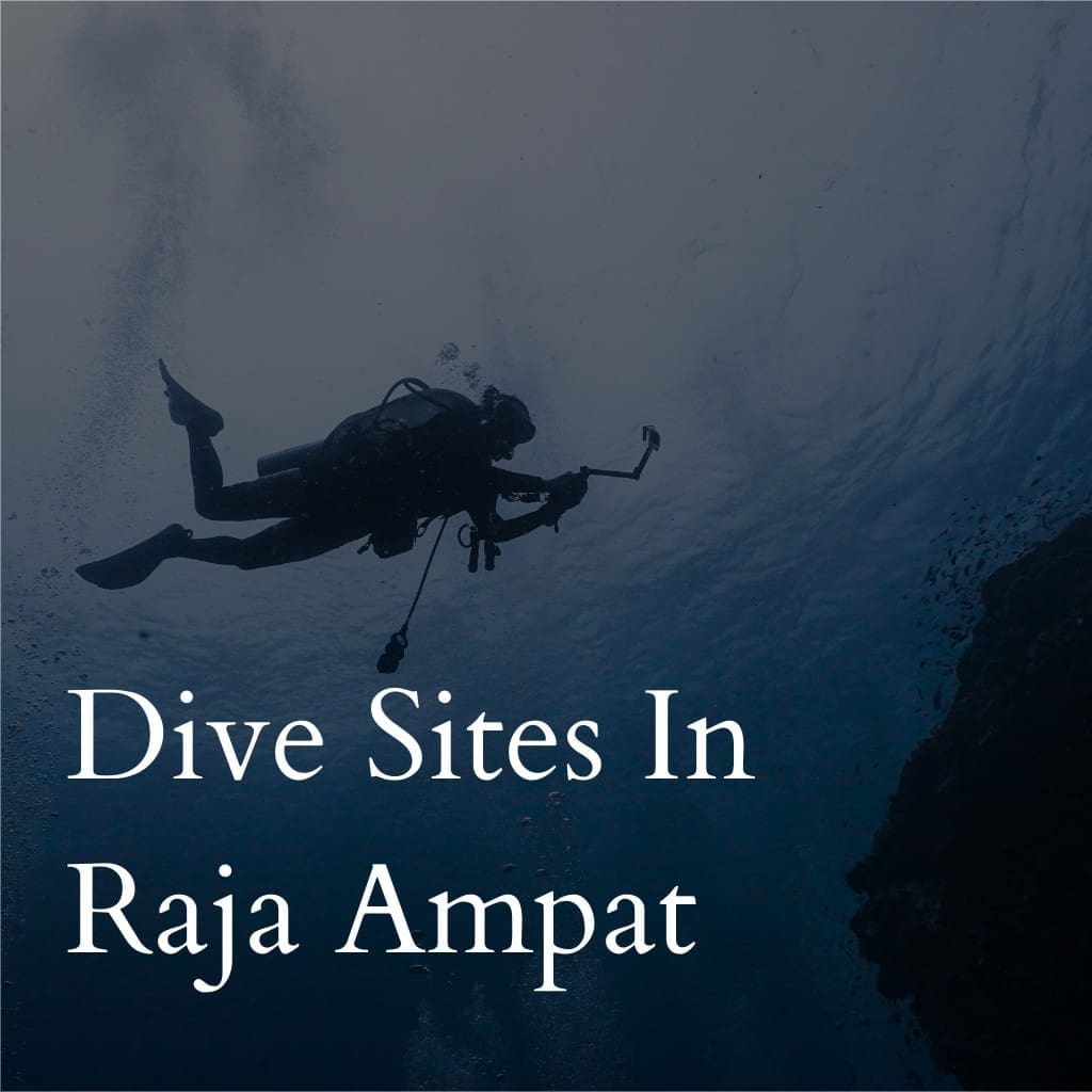 Scuba diver exploring underwater in Raja Ampat