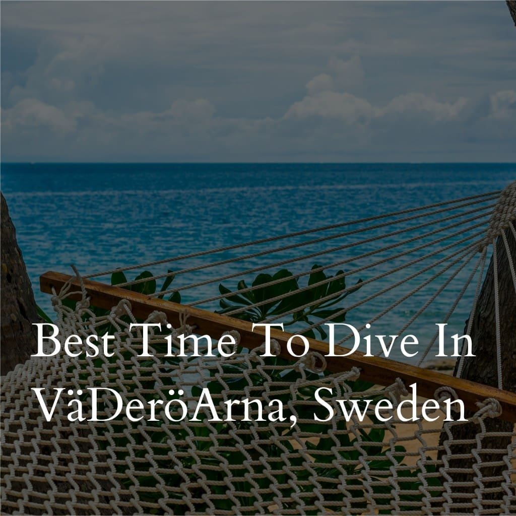 Hammock by ocean promoting diving in Väderöarna, Sweden