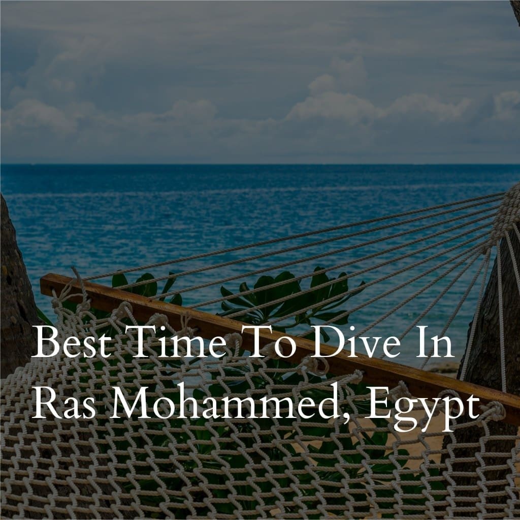 Hammock by sea, text about diving in Ras Mohammed, Egypt