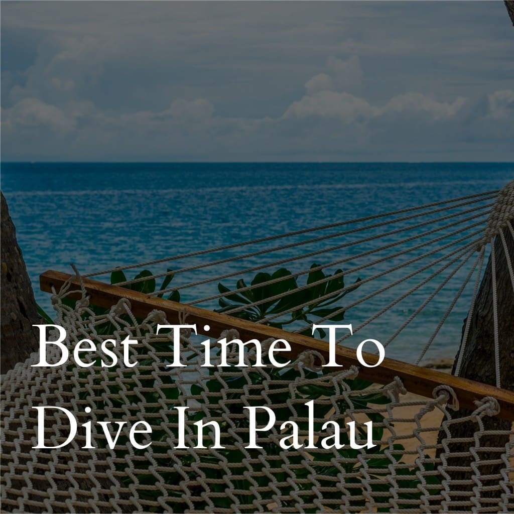 Hammock overlooking ocean in Palau