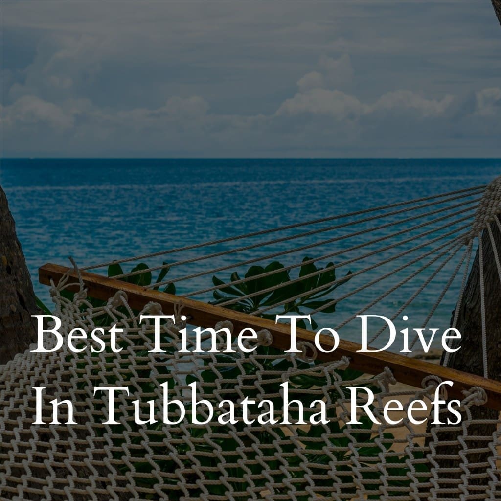 Hammock overlooking ocean with 'Dive Tubbataha Reefs' text