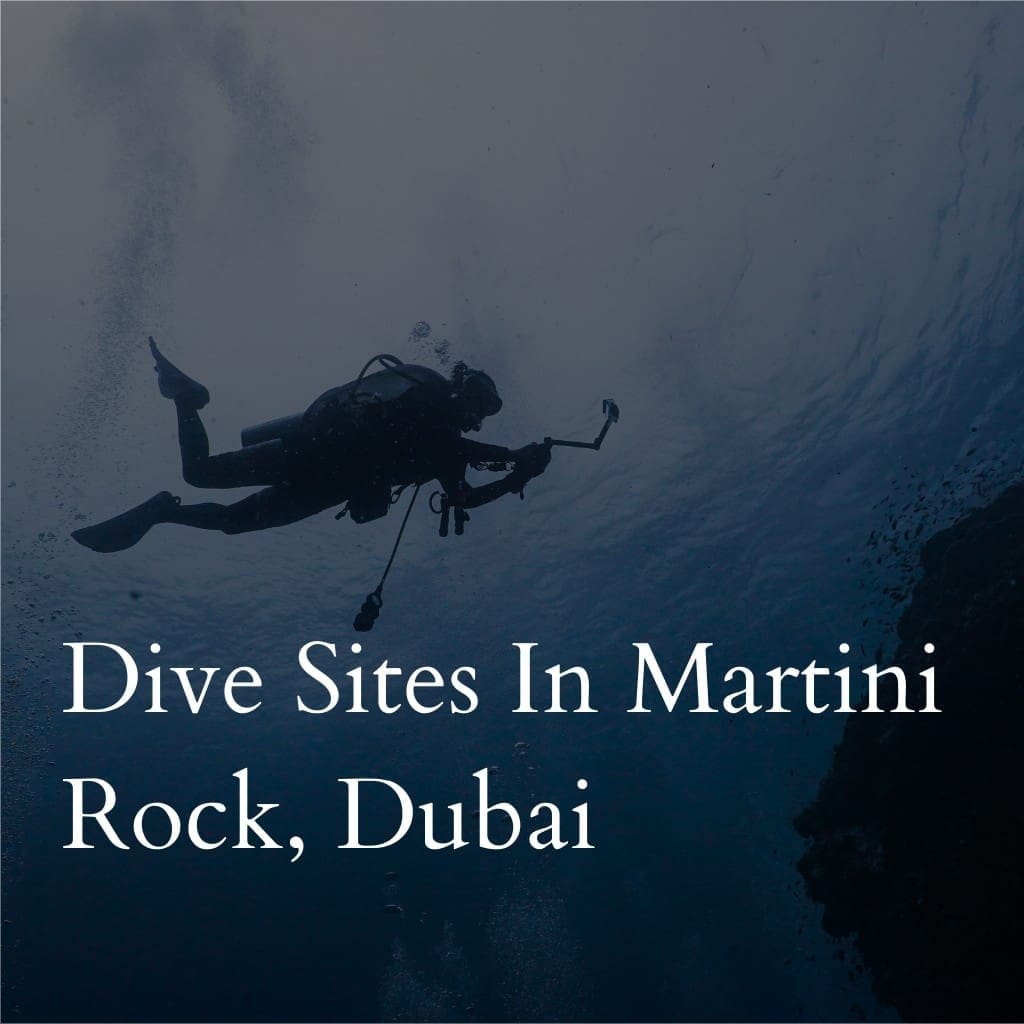 Dive sites in  Martini Rock