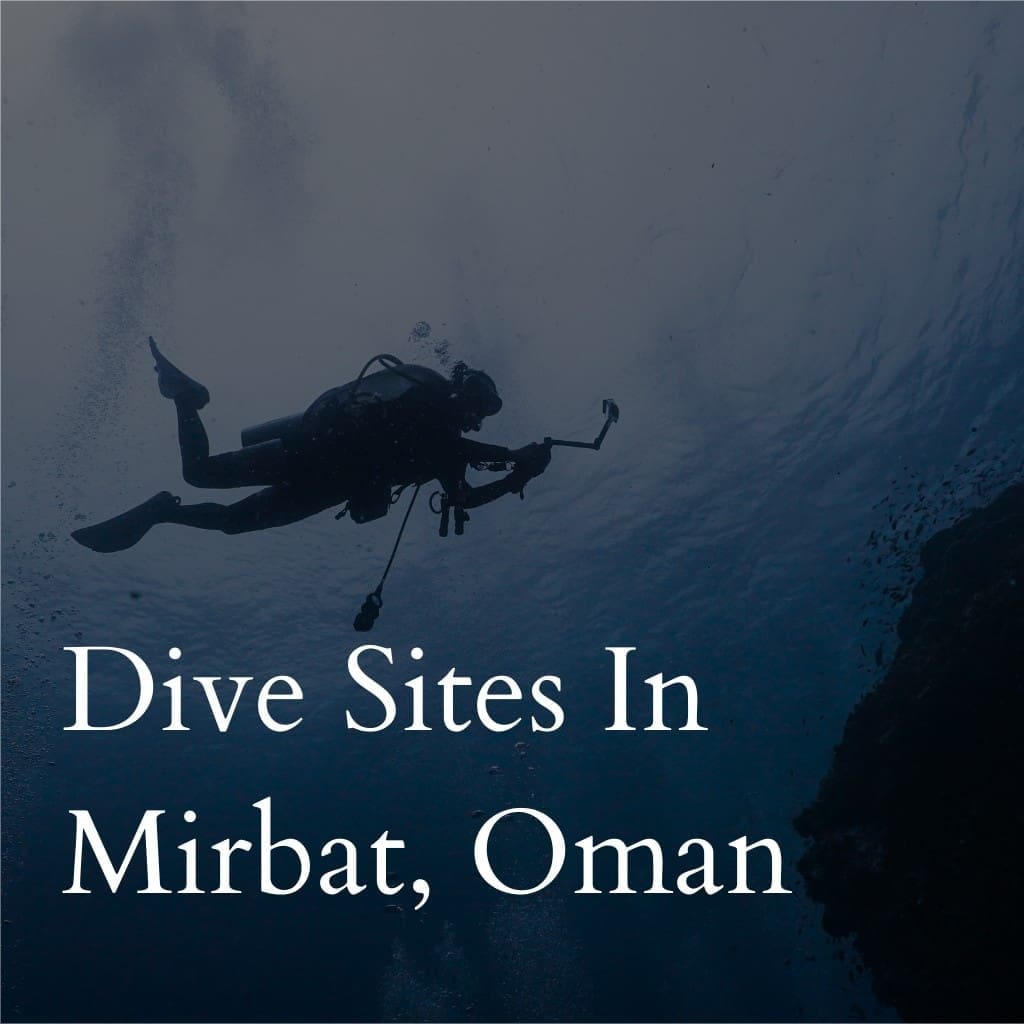 Scuba diver exploring underwater in Mirbat, Oman