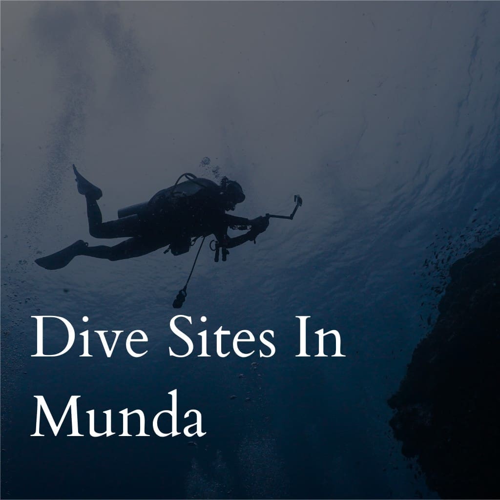 Scuba diver explores underwater in Munda