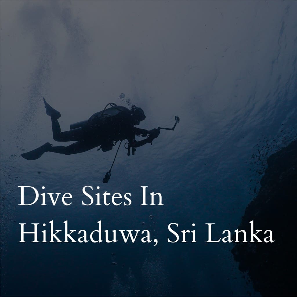 Scuba diver exploring Hikkaduwa dive sites, Sri Lanka