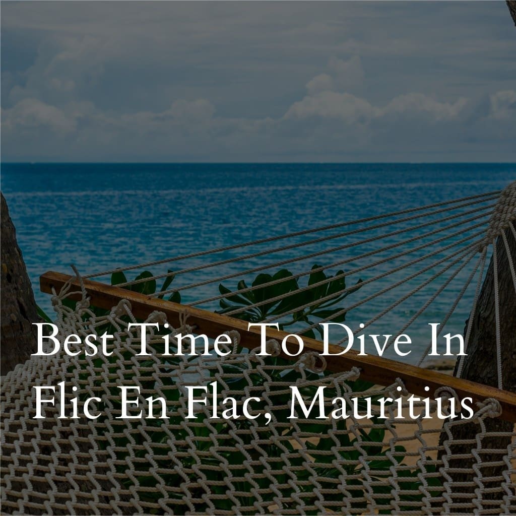 Hammock overlooking ocean in Flic En Flac, Mauritius