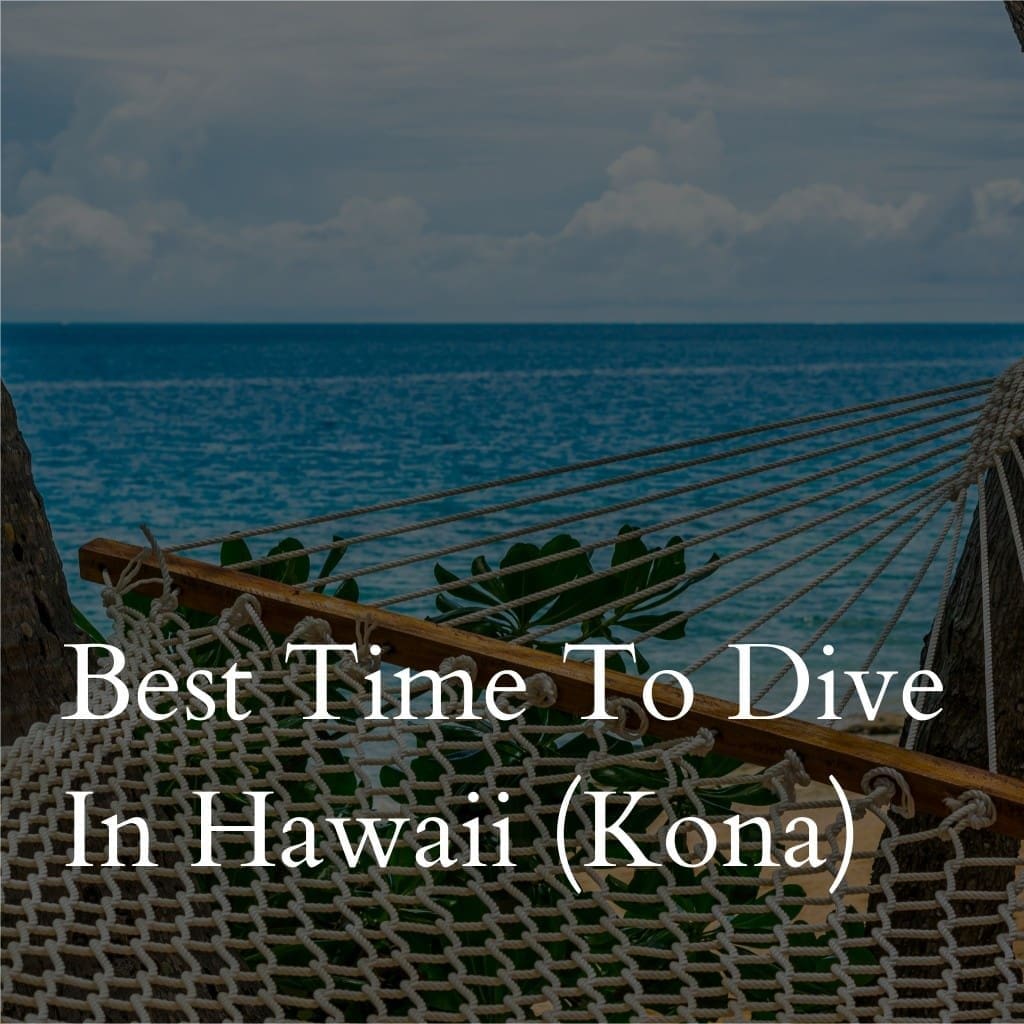 Hammock by ocean, promoting diving in Kona, Hawaii