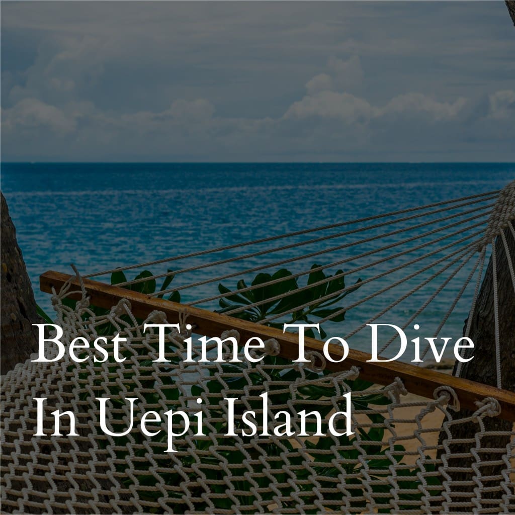 Hammock overlooking sea with text about Uepi Island diving