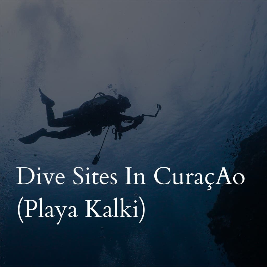 Scuba diver near ocean floor at Playa Kalki, Curaçao