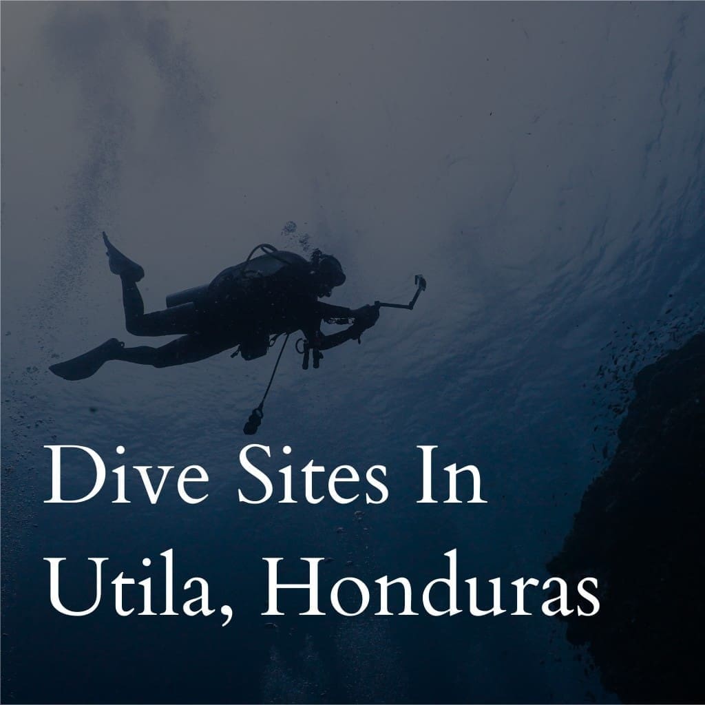 Diver exploring undersea near Utilla, Honduras.