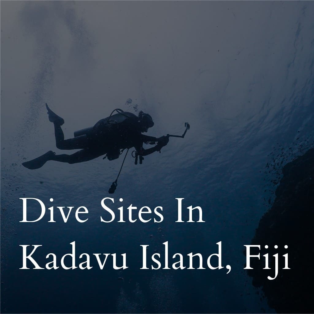 Scuba diver exploring underwater near Kadavu Island, Fiji