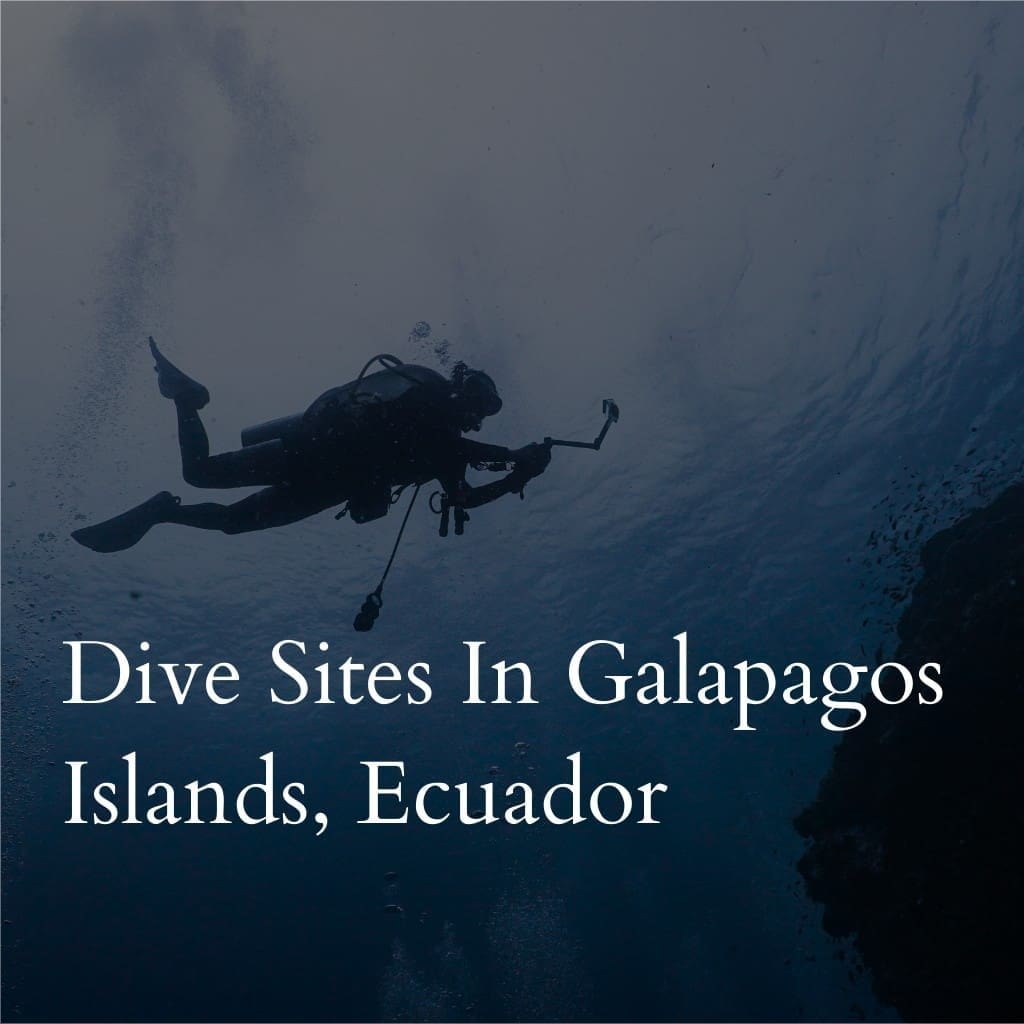 Scuba diver exploring Galapagos dive site