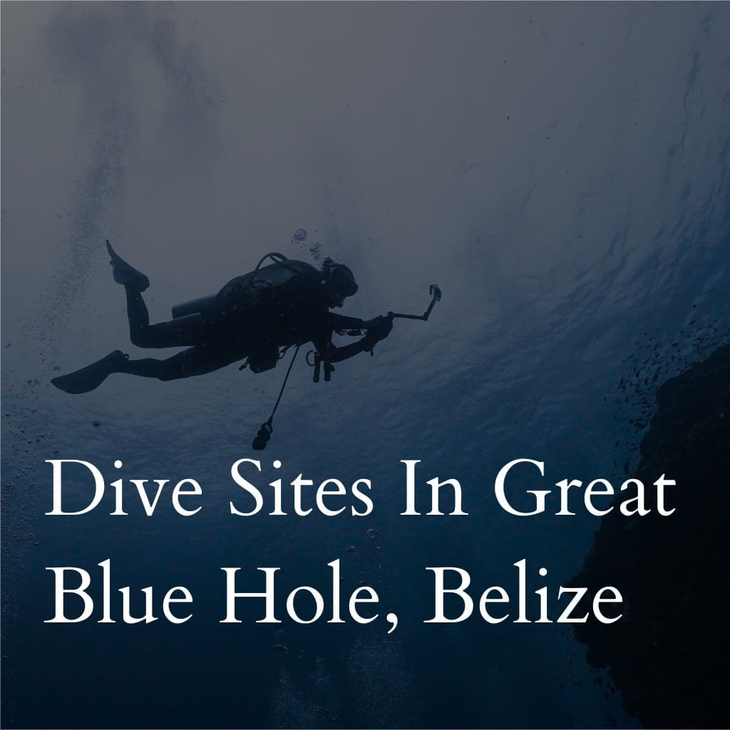 Dive sites in Great Blue Hole