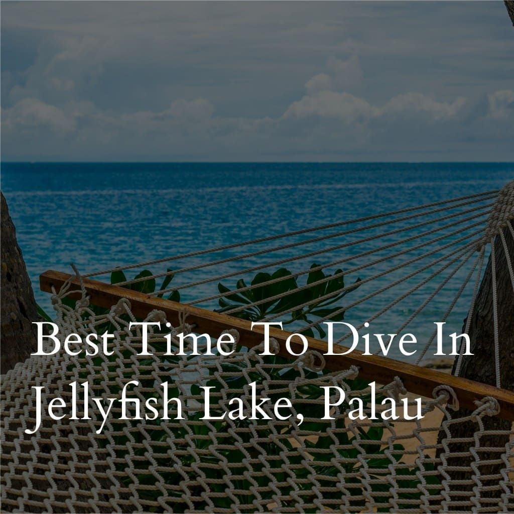 Hammock overlooking ocean by Jellyfish Lake, Palau