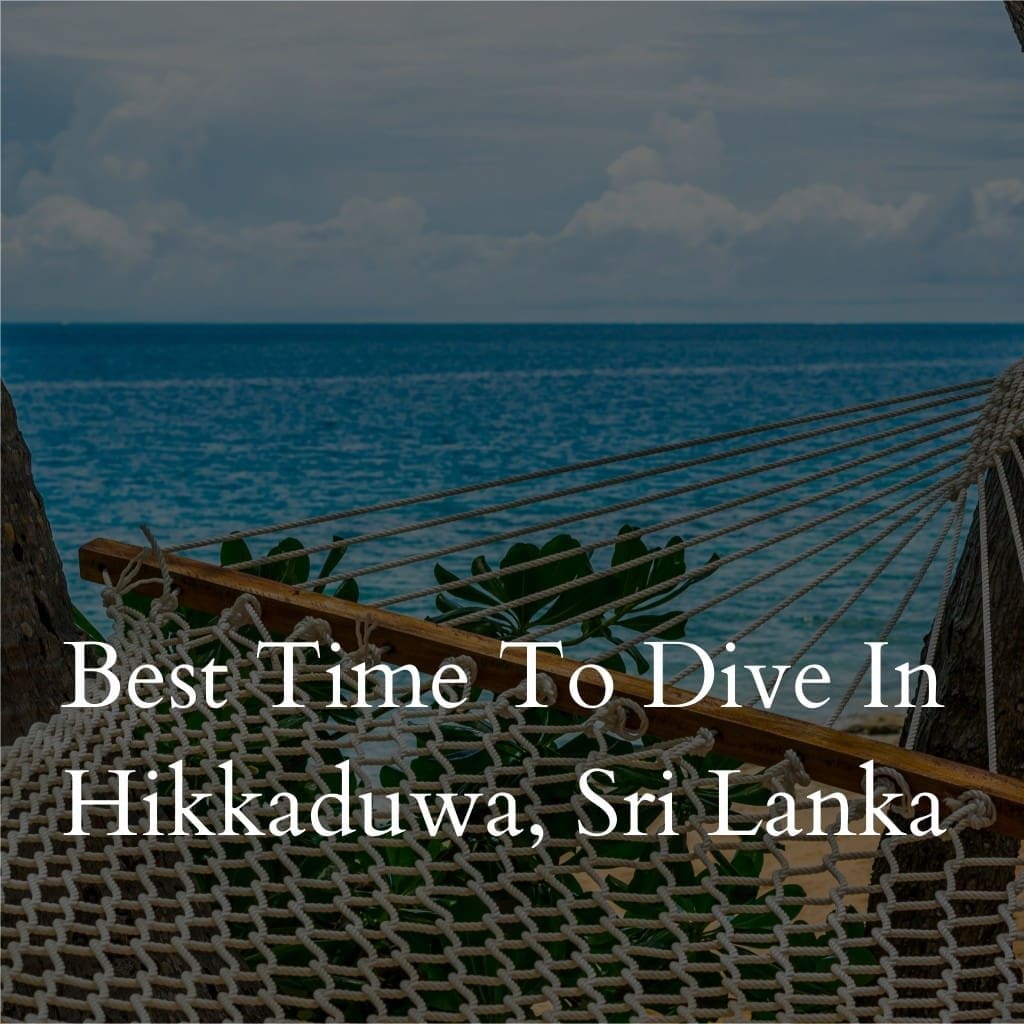 Hammock overlooking ocean in Hikkaduwa, Sri Lanka