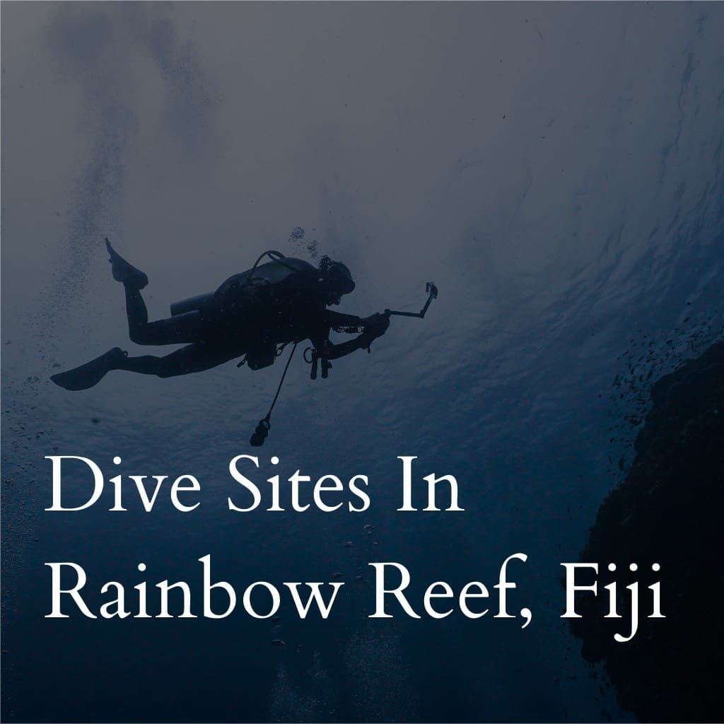 Scuba diver exploring Rainbow Reef in Fiji