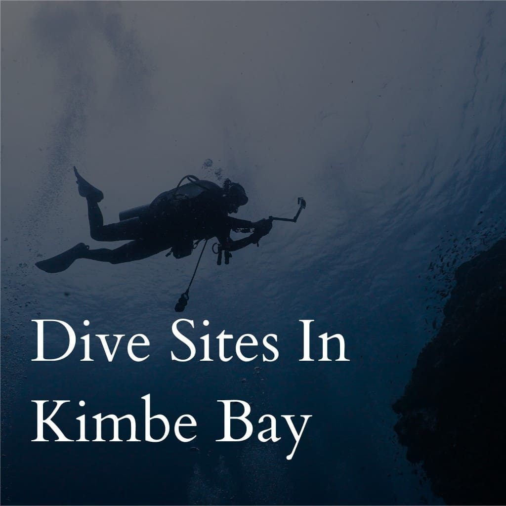 Diver exploring underwater in Kimbe Bay