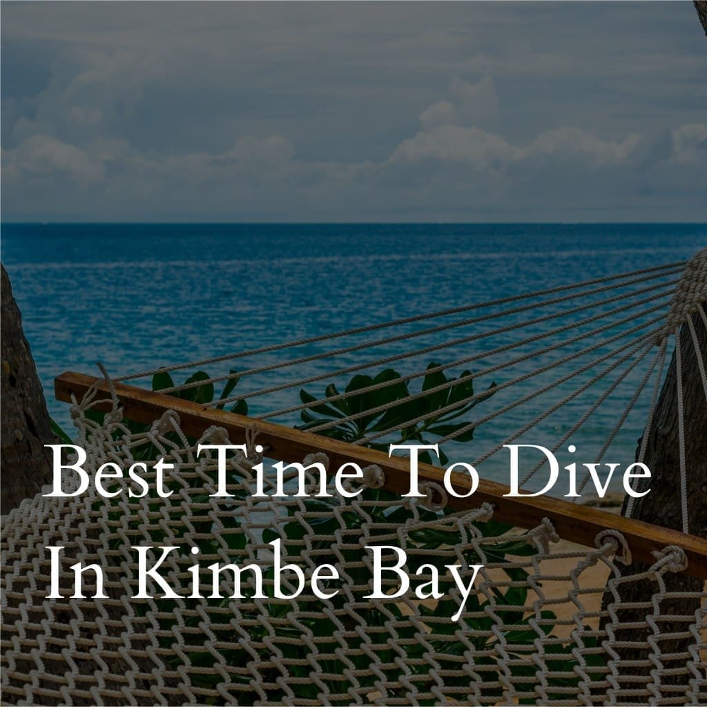 Hammock overlooking sea with text about diving in Kimbe Bay